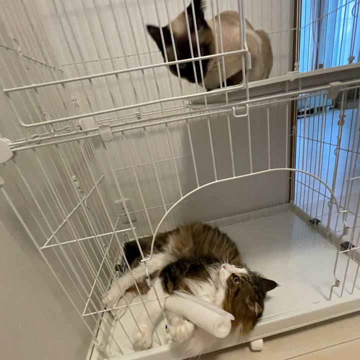 76c823c2 b688 4333 bbd1 ec3678097669 1717530066152