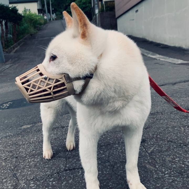 76c82eff f72e 4726 b5cb 7e75809da2d4 1594673770174