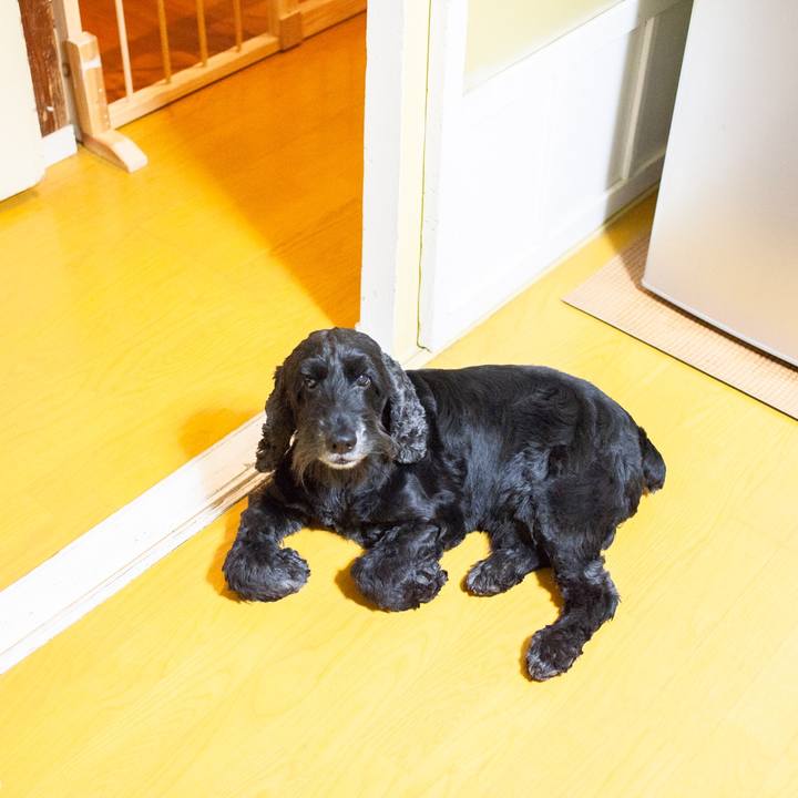 76c83070 bf57 47e9 b1ae 55c1f2e0e312 1560095598787