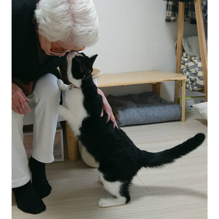 76c89637 b0be 4d25 815c 531869f5e422 1554716063455