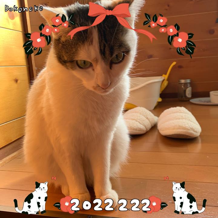 76c8c0a1 26be 4fe5 a5dc 177d7311c749 1645545918588