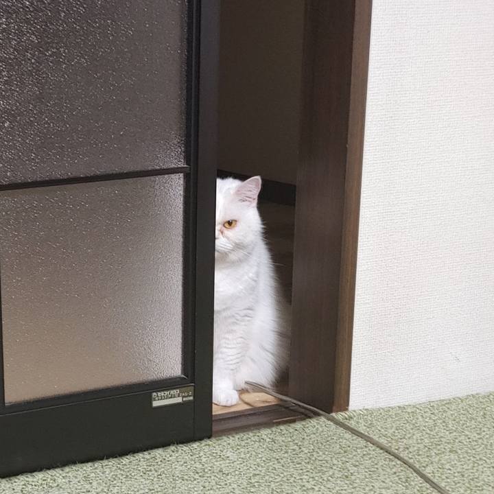 76c8d68a 610a 480b b907 0bc102e16dfa 1653919201920