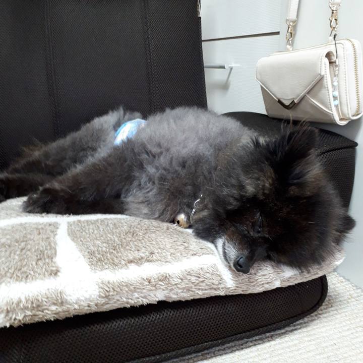 76c90628 711b 4f2b acc5 b3a818ccfb90 1543371264548