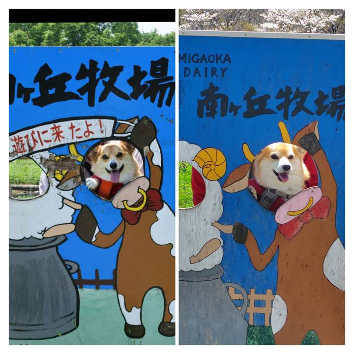 76c92214 6a2a 494f bc5a bab647cd440c 1777089148849