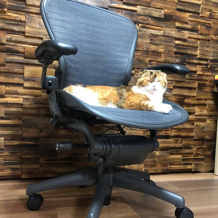 76c94277 d5ec 456c 8c44 cdf6e3d727f7 1594476680161