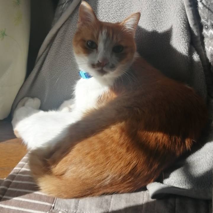 76c96e95 1f60 4b46 b611 aeba07f949b4 1644111341387