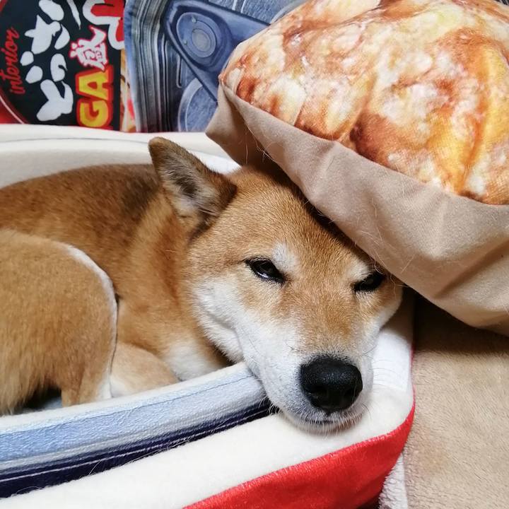 76c97a36 0043 4620 a8e3 607e664c6b60 1606995435661