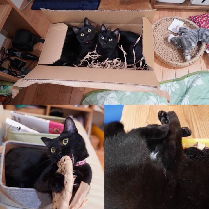 76c983d9 fc3c 4bc6 95cc 4332b4bf9d27 1589900431811