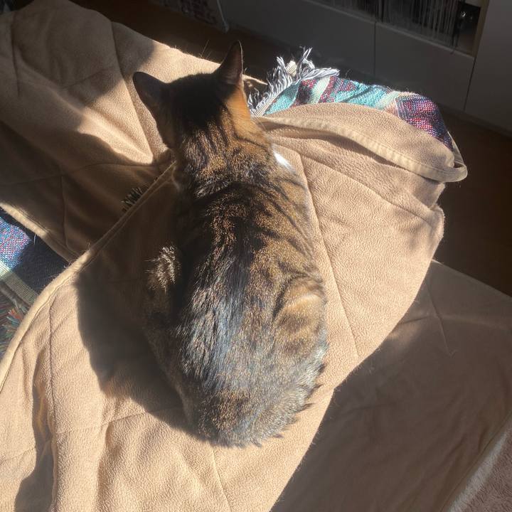 76c993d9 6d2f 4607 b4ce 92f26569009d 1734137255667