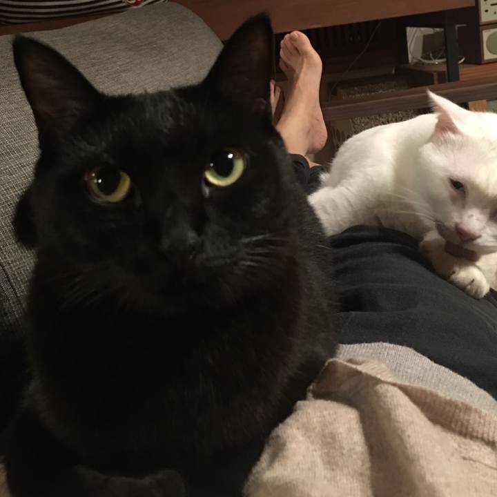 76c9c1a1 1196 44a0 84d4 e16e89b161b2 1570801650074