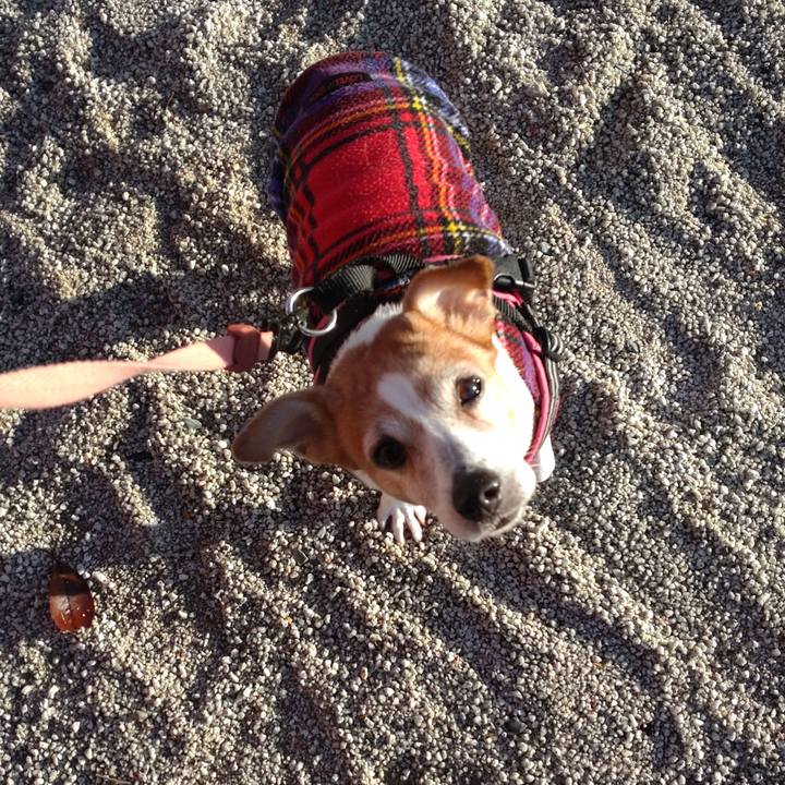 76c9e1de dcb2 4f06 a2ce e7cedade752f 1763768612562