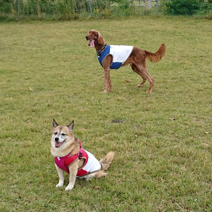 76ca0072 f79d 412b 918b 48942eeb03b4 1536888859735