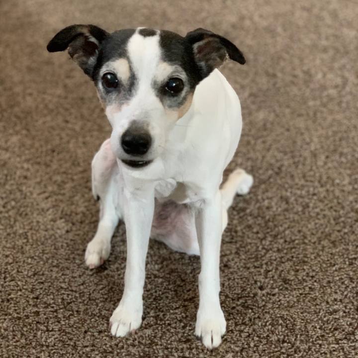 76ca26fc fae9 41f2 804d ce3c061b3ad1 1617488488772