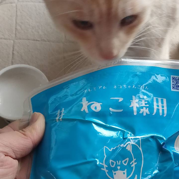 76ca39a2 4059 4291 afad 2da06fcbc3d4 1671369198119