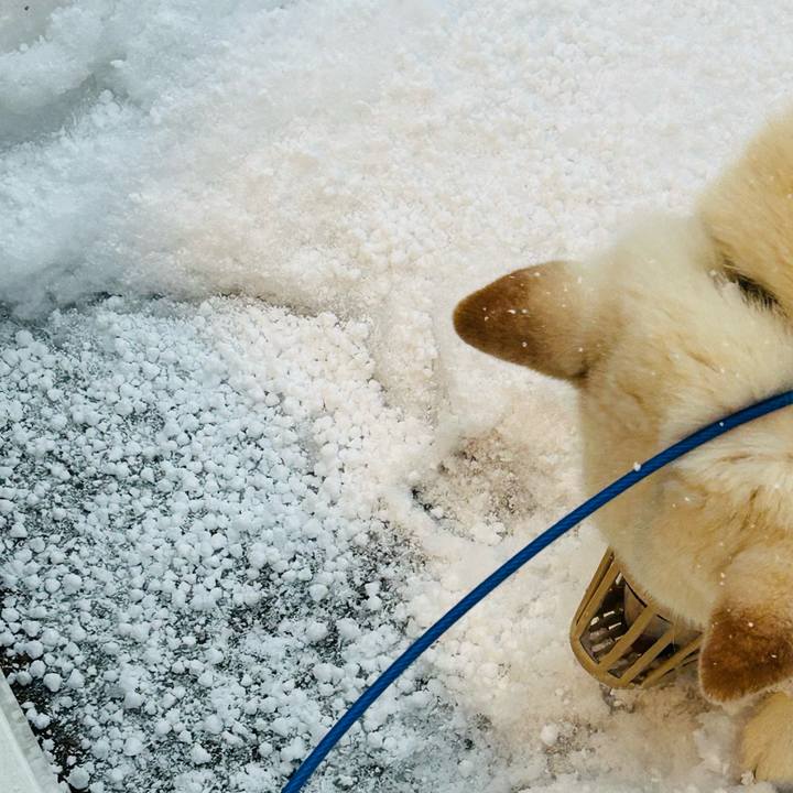 76ca508c a70c 4429 a470 bf1dc1ce05f7 1741299928037