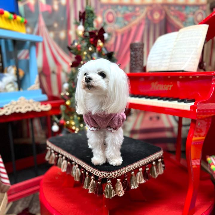 76ca69f3 1380 45b9 ab75 ac5fc5083d81 1766115921112