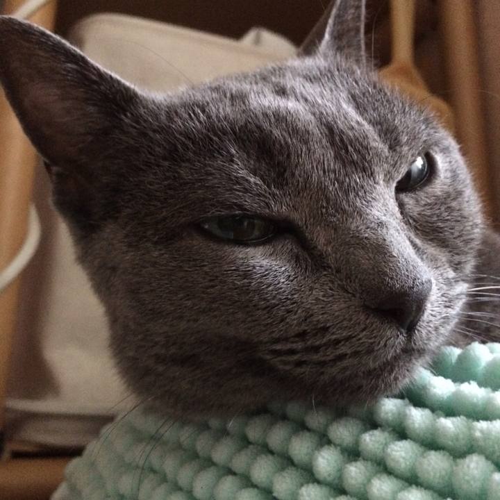 76ca6f54 baa1 4fe3 b7ab f5107735ae31 1537485781894