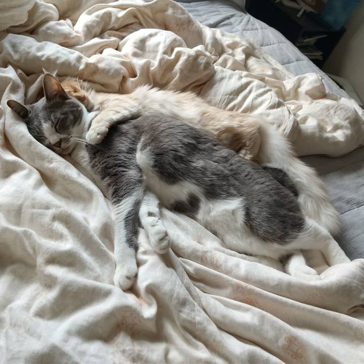 76ca72c7 a4d0 46df 8111 e3aa3acba5fe 1619314865269