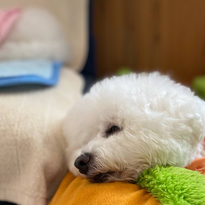 76ca7961 ddcf 493a b4d9 7ed06b423e8c 1623116121089