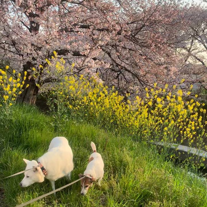 76caab81 923a 4fc9 a10c 0bcdb3ebf6fd 1554597879129