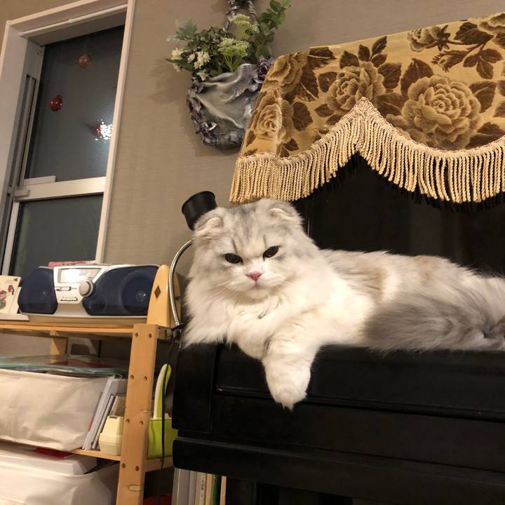 76cab027 814b 4505 845e f5df16fb3044 1607425644836