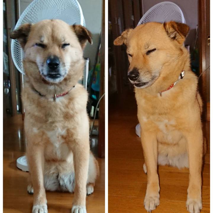 76cad913 981a 4781 b584 5f6a8596d4a6 1568804058595