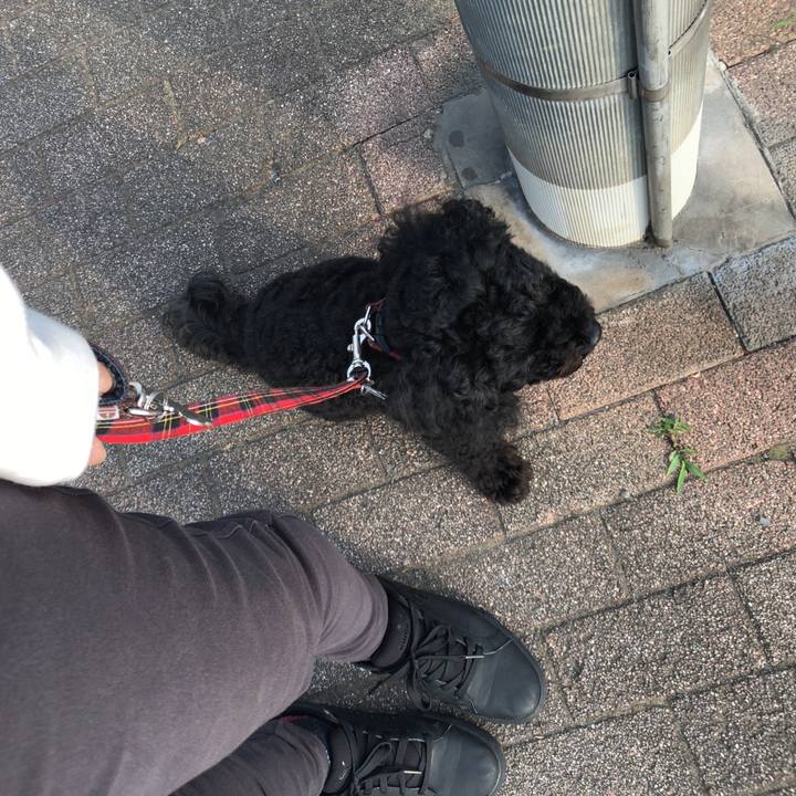 76cadc9f 3cef 4212 ac8c 5086d0b40480 1559787022595