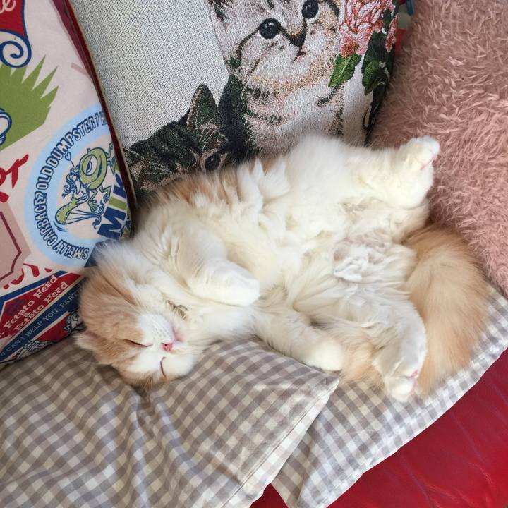 76cb17c5 0a7a 46dc 8de4 f1fe5db4e049 1511607871011