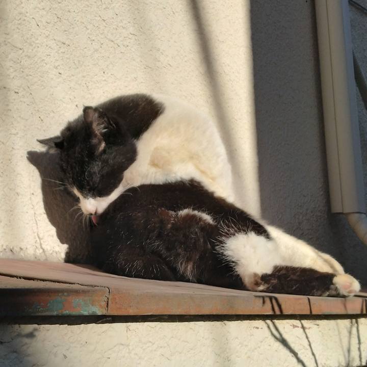 76cb3bec f252 44af b469 8018a3a3f775 1710075462704