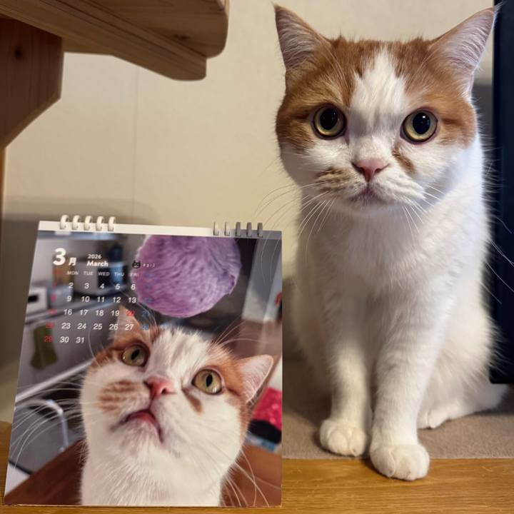 76cb71c0 39ff 4932 80ee 300b700ec4b8 1772533573507