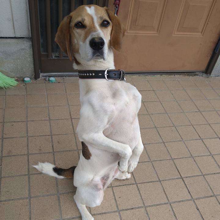 76cbac6a 2932 4e03 862e 7356df098f63 1657643989840