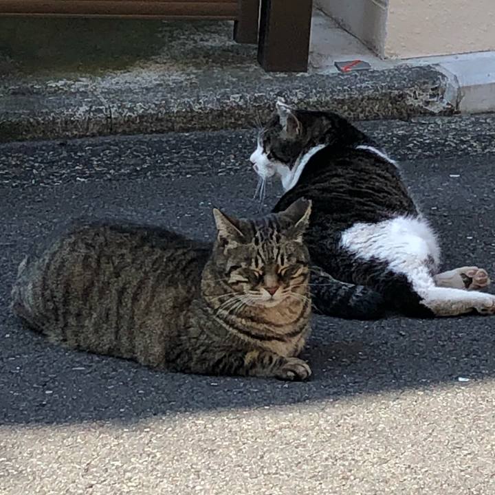 76cbc835 485c 4d40 a408 cf5f15d46d9b 1582278616994