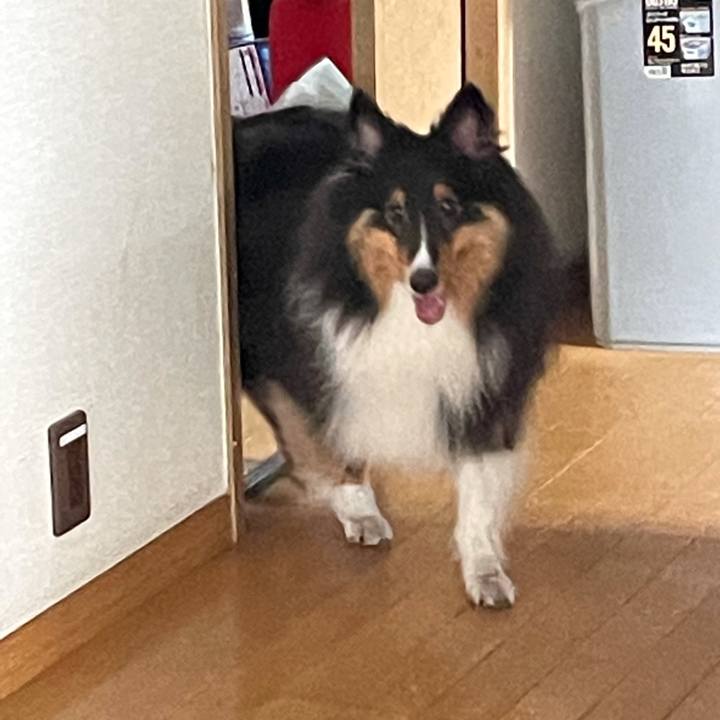 76cbf9e7 4569 4043 b126 0715920f5824 1627336675259