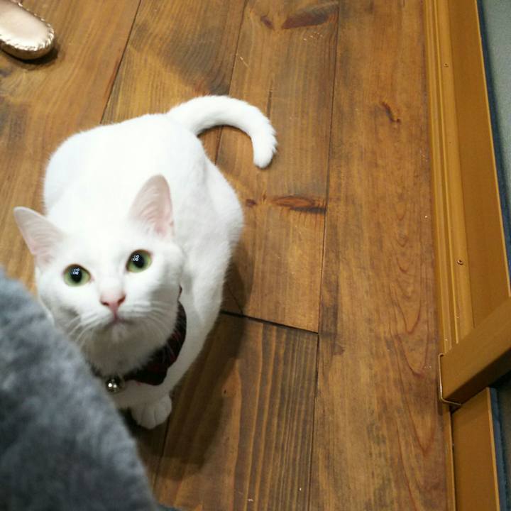 76cc21c7 d18f 4b60 b69a 5a5007b57028 1534080420605