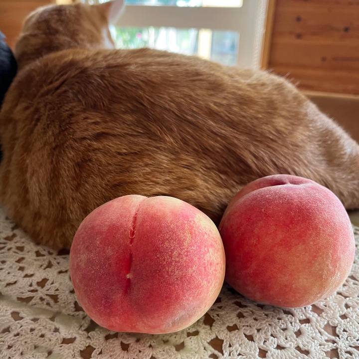 76cc2d80 326c 46e5 9ee2 63f1fc759ebc 1689579011853