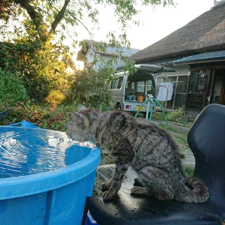 76cc3c83 13a6 421b beef 8663566842ae 1598518866408