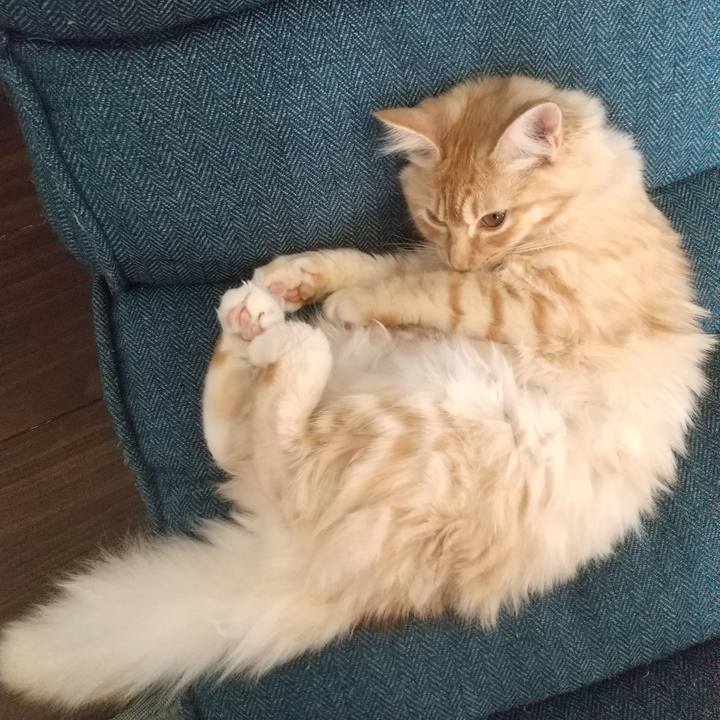 76cc3cab 70d8 42b8 9da3 0c02ca7ee0f3 1615355720523