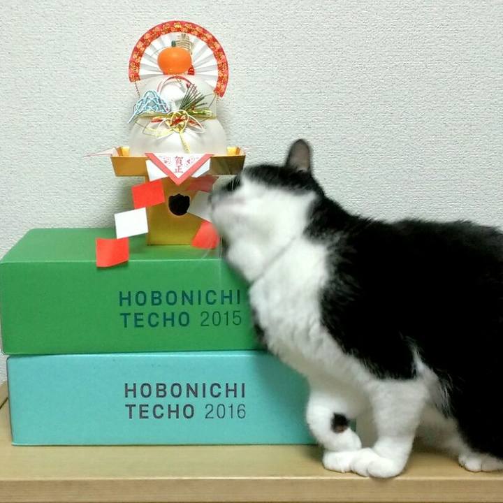 76cc45d1 46cf 44d1 8593 ff048e7419b1 1546316376558