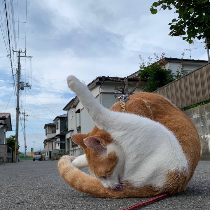 76ccdac4 e785 408c b986 5e7a787c84b8 1594628655417