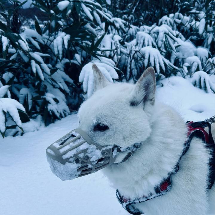 76cd19c0 058c 4311 b799 a31dbdb6227d 1701296888241