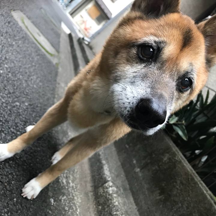 76cd274b 5012 4745 8778 ee0921041029 1543271306101