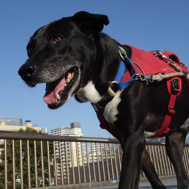 76cd3efd ee97 439f b48c 3b12f23318bb 1678495581283