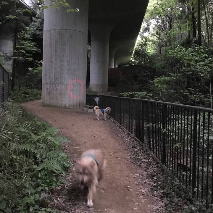 76cd5b7b f7e0 4f64 85e3 dee8c4f57af3 1556455876663