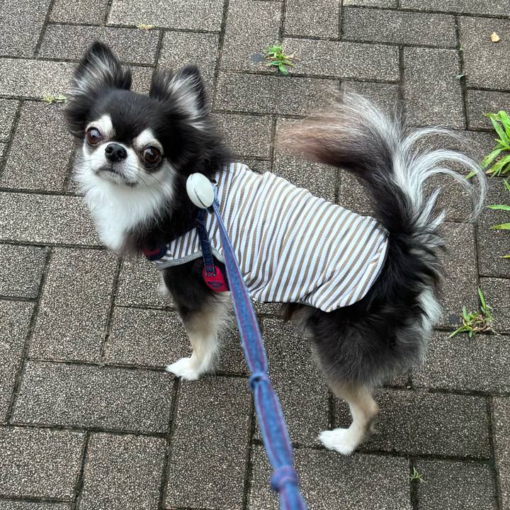 76cda1b7 6316 4dc4 9273 606ee745ba30 1721058395397