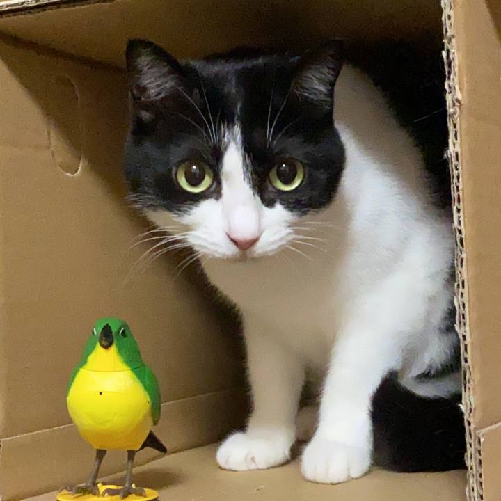 76cdba07 c360 4bfb 9594 7b1d43bf2c64 1621721564202