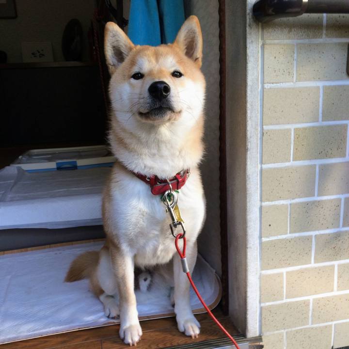 76cdc6dd b537 43fb a5a6 261bede044d8 1762316955536