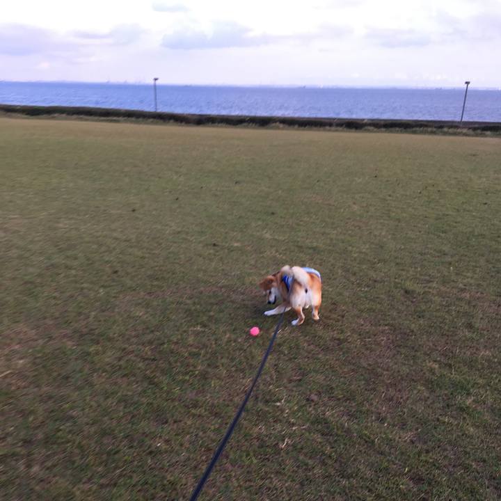 76cddb74 8006 49ad 8777 5bfe33c342c4 1539074166770