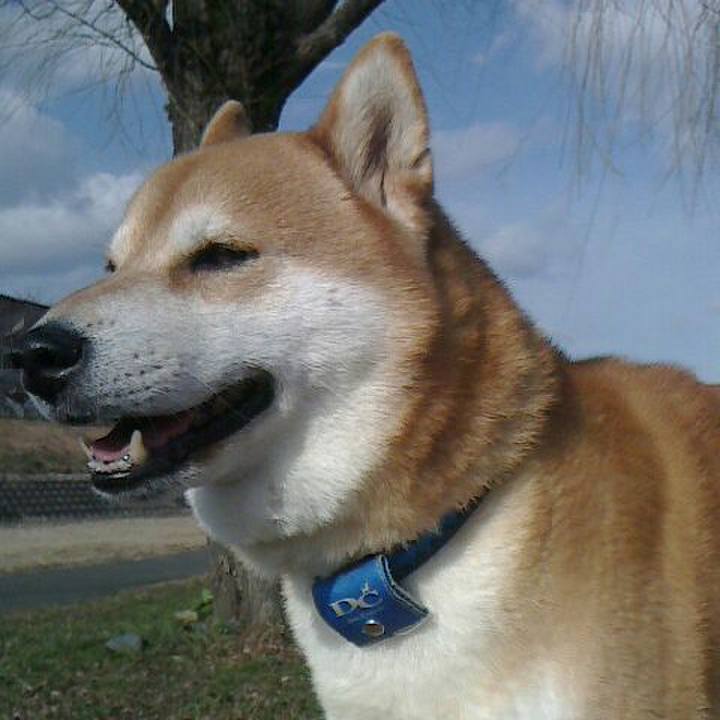 76ce2abd 29d9 4cf7 8061 0a58079ef50a 1579178560574