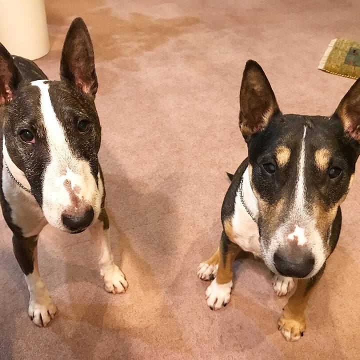 76ce2c3e fd53 4cbe 85a6 b5c32893b9d5 1527593405010