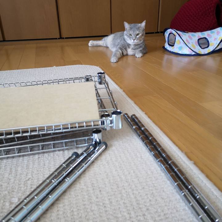 76ce3eb9 3e32 4463 a750 1f2caa67bc14 1565660955529